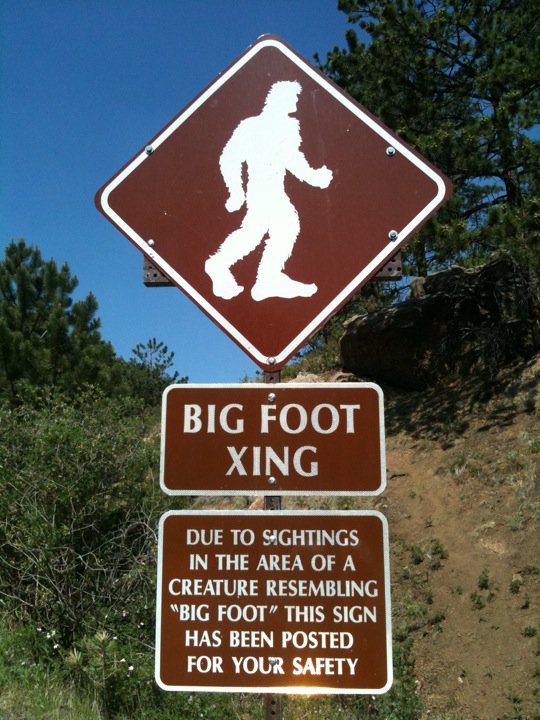 Category:Bigfoot - Wikimedia Commons