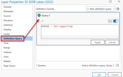 Understanding SQL Syntax and Dialects in ArcGIS Pro