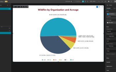 Advanced Pie Chart Customization in Experience Builder