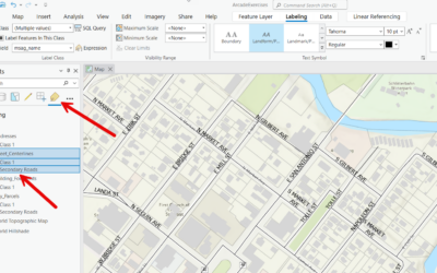 Optimizing Labeling in ArcGIS Pro: The Power of Label Classes